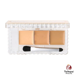Canmake Mixed Color Concealer #01 3.9g
